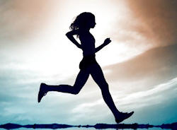 Spor Hekimliği Spor Hekimliği